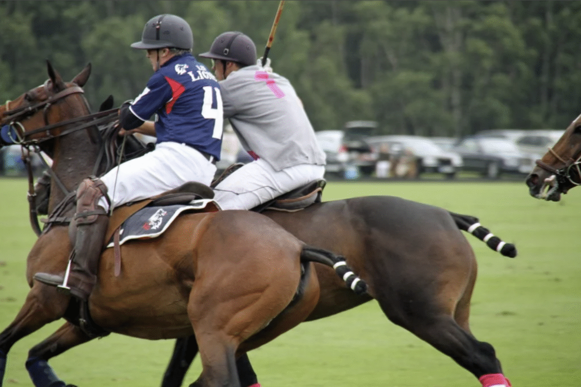 Polo Players