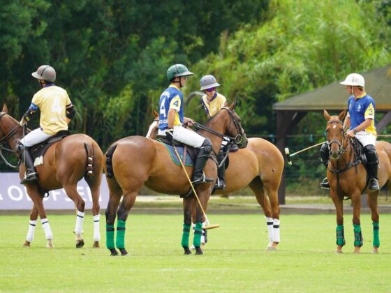 Polo Players